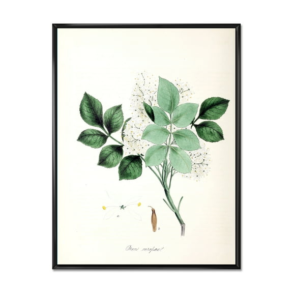 Designart 'Ancient Blossoming Flower IV' Farmhouse Framed Canvas Wall Art Print