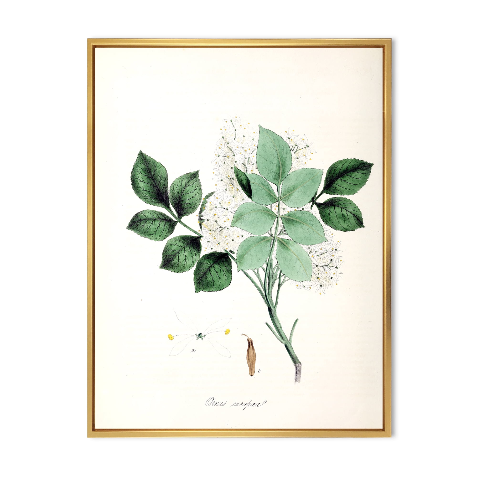 Designart 'Ancient Blossoming Flower IV' Farmhouse Framed Canvas Wall Art Print