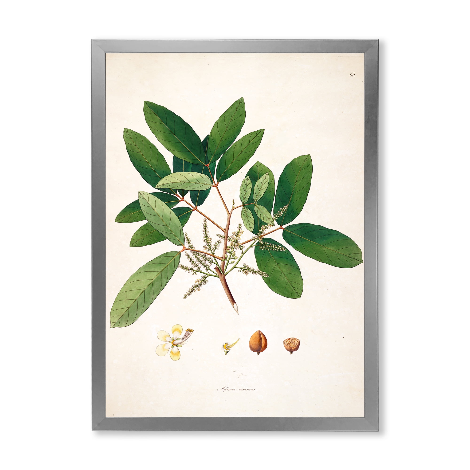 Designart 'Ancient Botanicals II' Farmhouse Framed Art Print