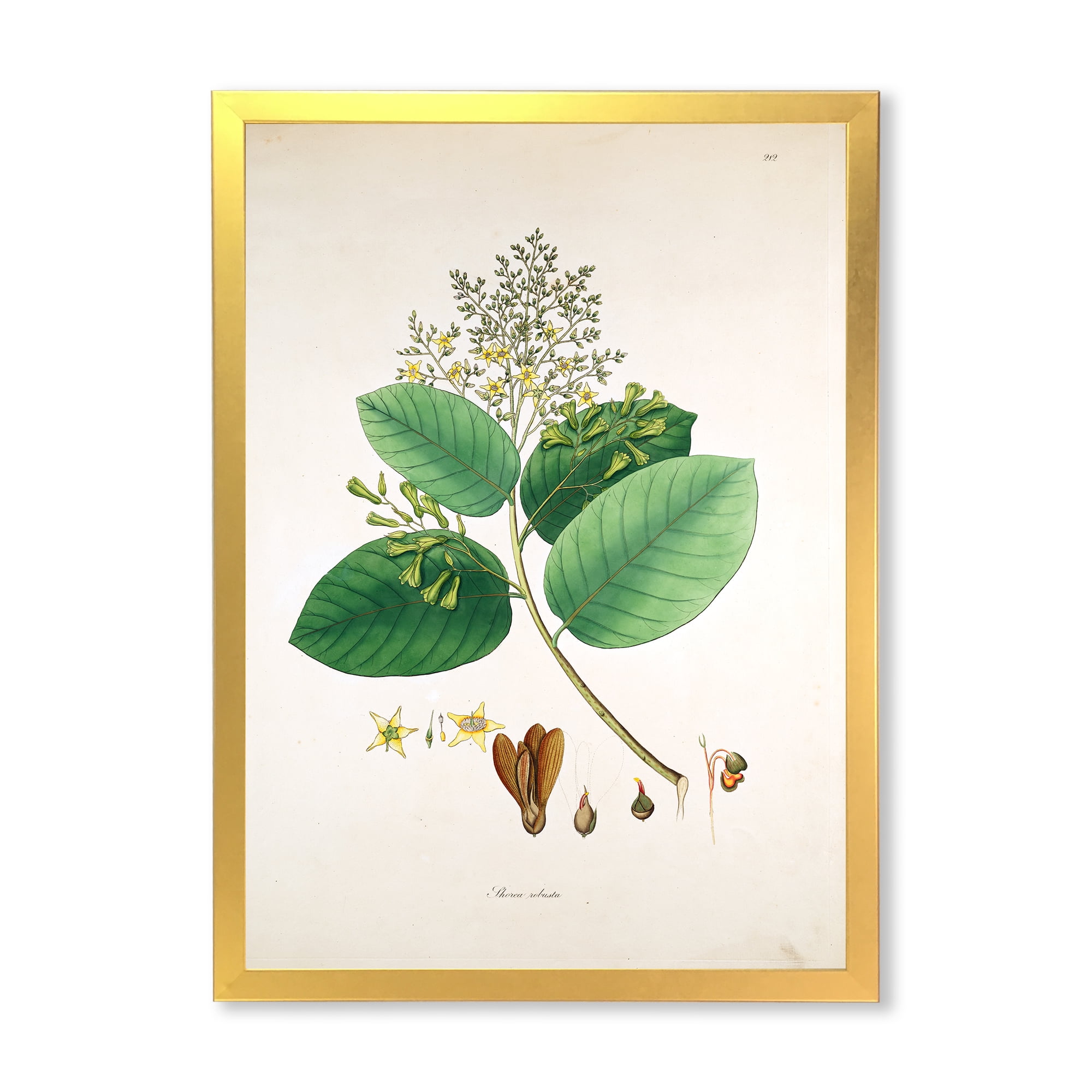 Designart 'Ancient Botanicals III' Farmhouse Framed Art Print