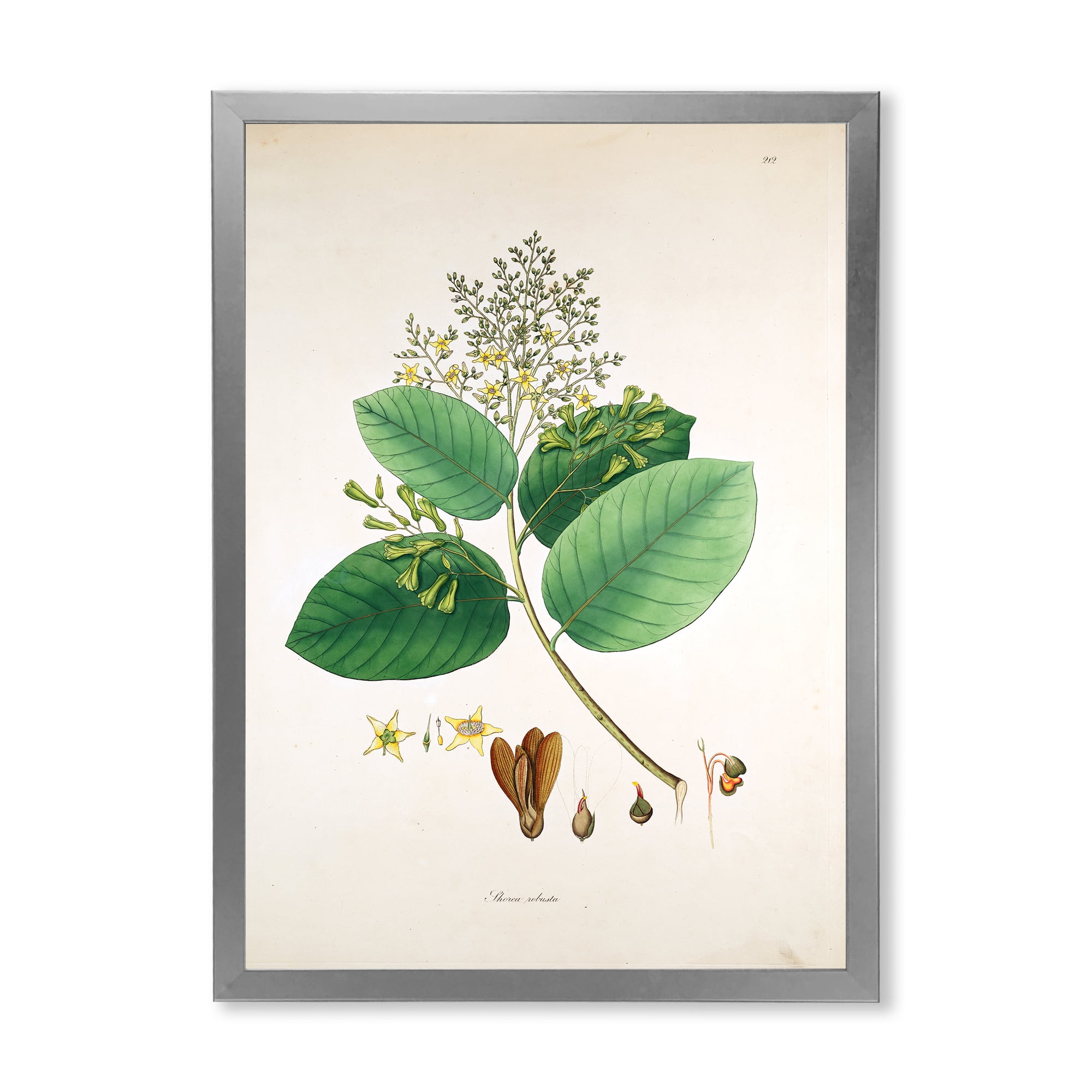 Designart 'Ancient Botanicals III' Farmhouse Framed Art Print