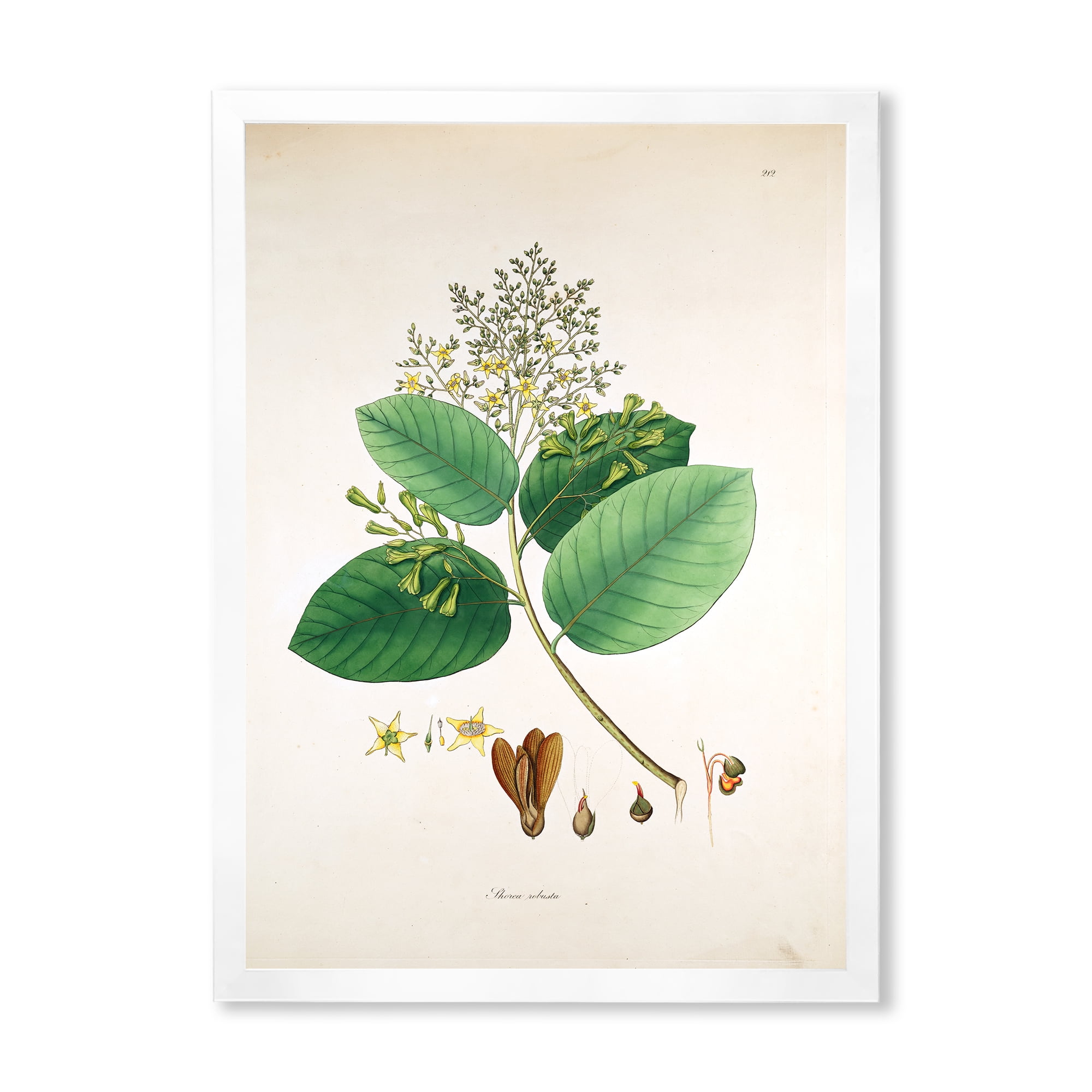 Designart 'Ancient Botanicals III' Farmhouse Framed Art Print