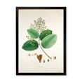 thumbnail image 1 of Designart 'Ancient Botanicals III' Farmhouse Framed Art Print, 1 of 4