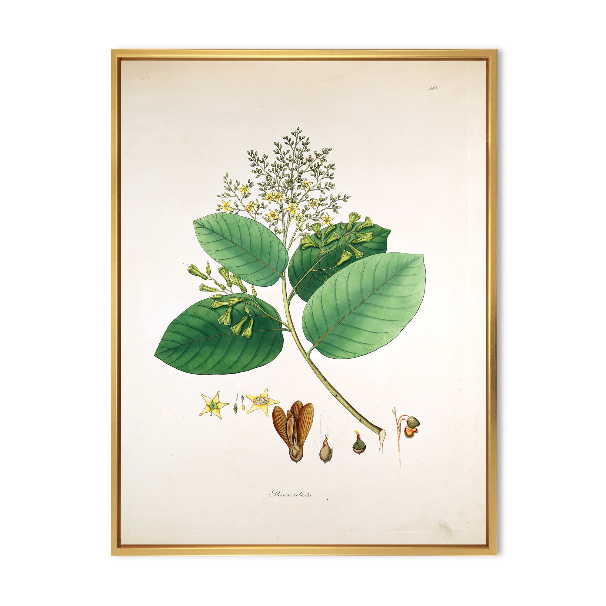 Designart 'Ancient Botanicals III' Farmhouse Framed Canvas Wall Art Print