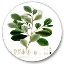 Designart 'Ancient Botanicals IV' Traditional Circle Metal Wall Art 36x36 - Disc of 36