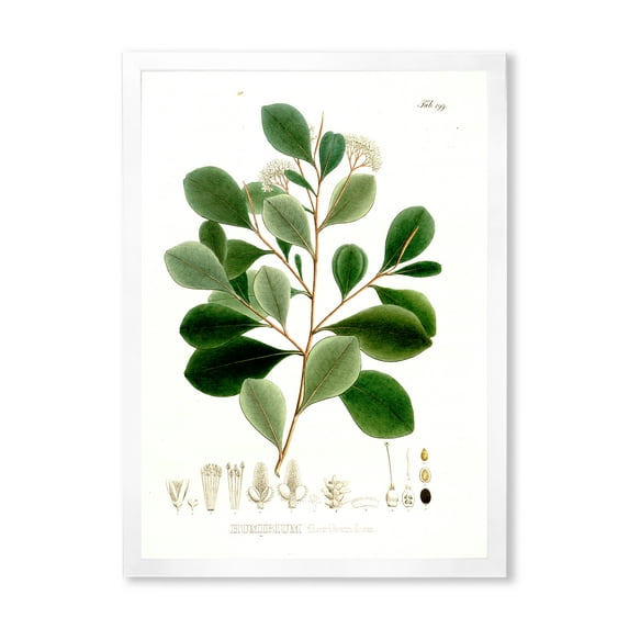 Designart 'Ancient Botanicals IV' Traditional Framed Art Print