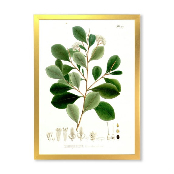 Designart 'Ancient Botanicals IV' Traditional Framed Art Print