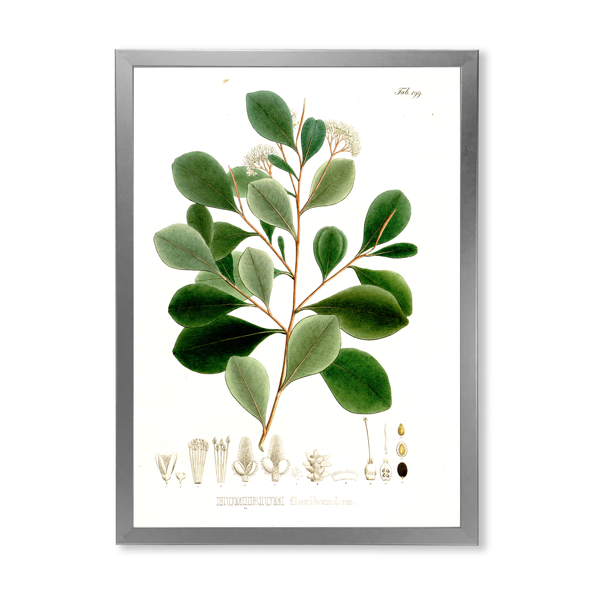 Designart 'Ancient Botanicals IV' Traditional Framed Art Print