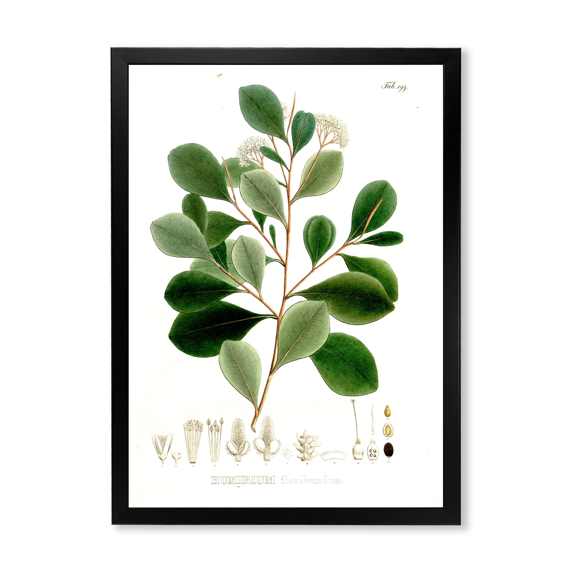 Designart 'Ancient Botanicals IV' Traditional Framed Art Print