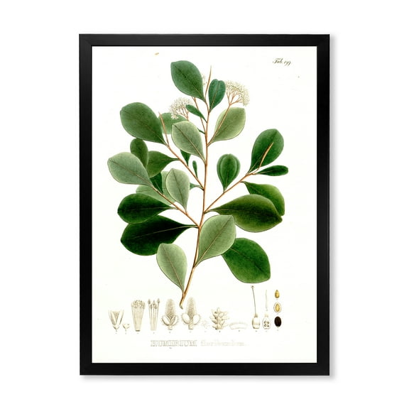 Designart 'Ancient Botanicals IV' Traditional Framed Art Print