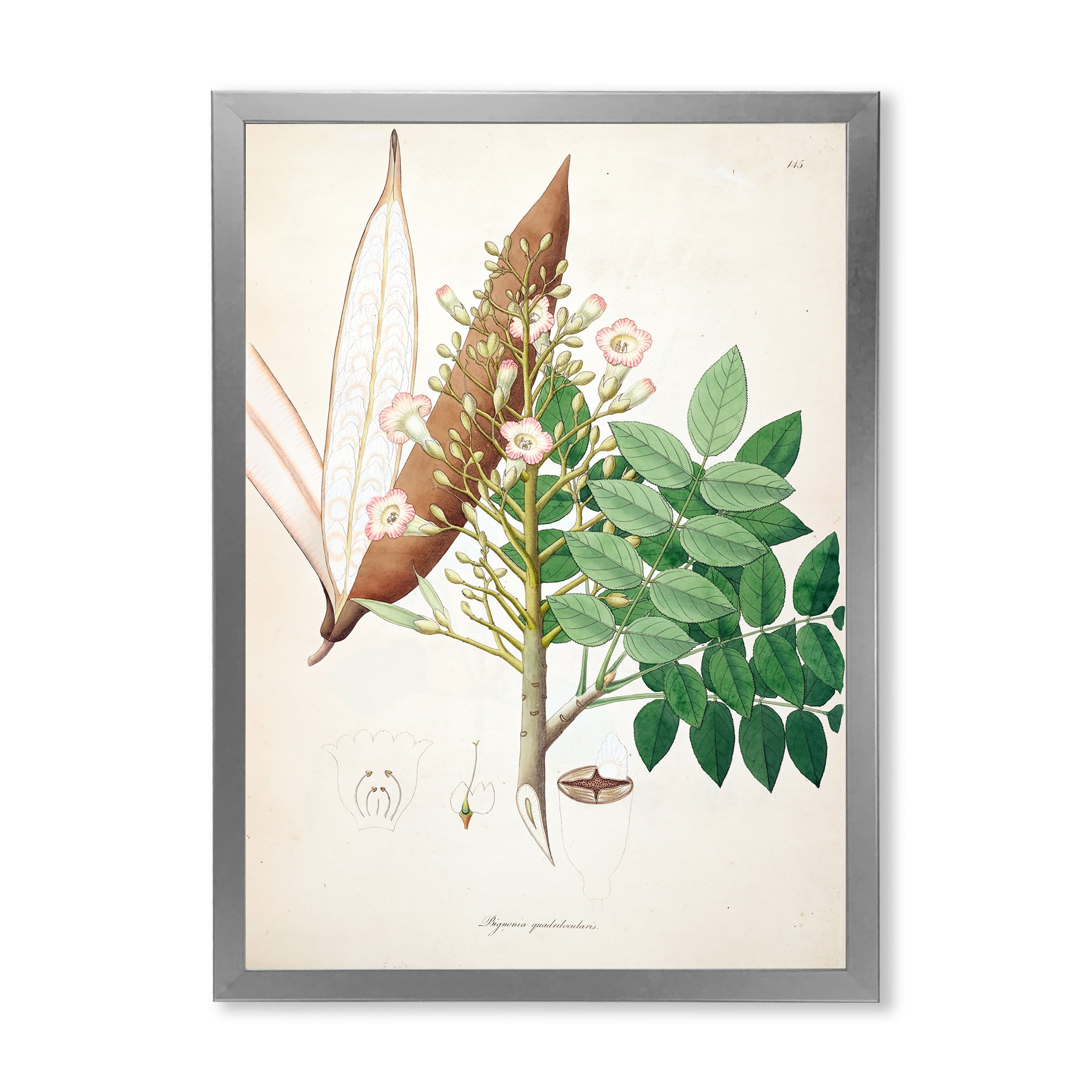 Designart 'Ancient Botanicals IX' Farmhouse Framed Art Print