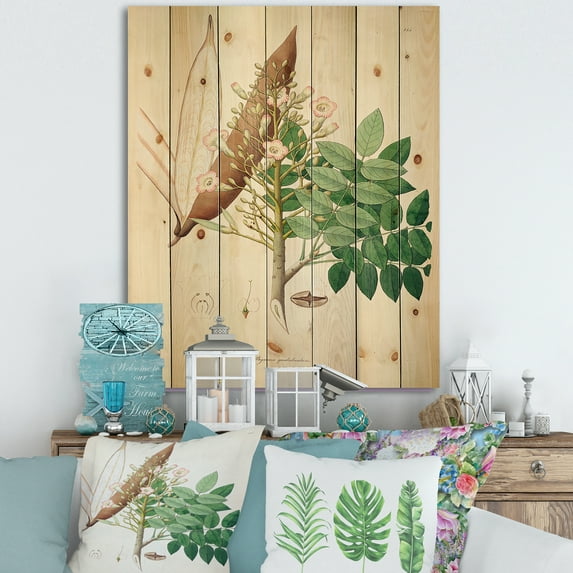 Designart 'Ancient Botanicals IX' Farmhouse Print on Natural Pine Wood