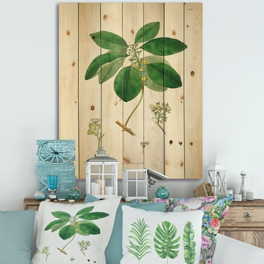Designart 'Ancient Botanicals V' Farmhouse Print on Natural Pine Wood