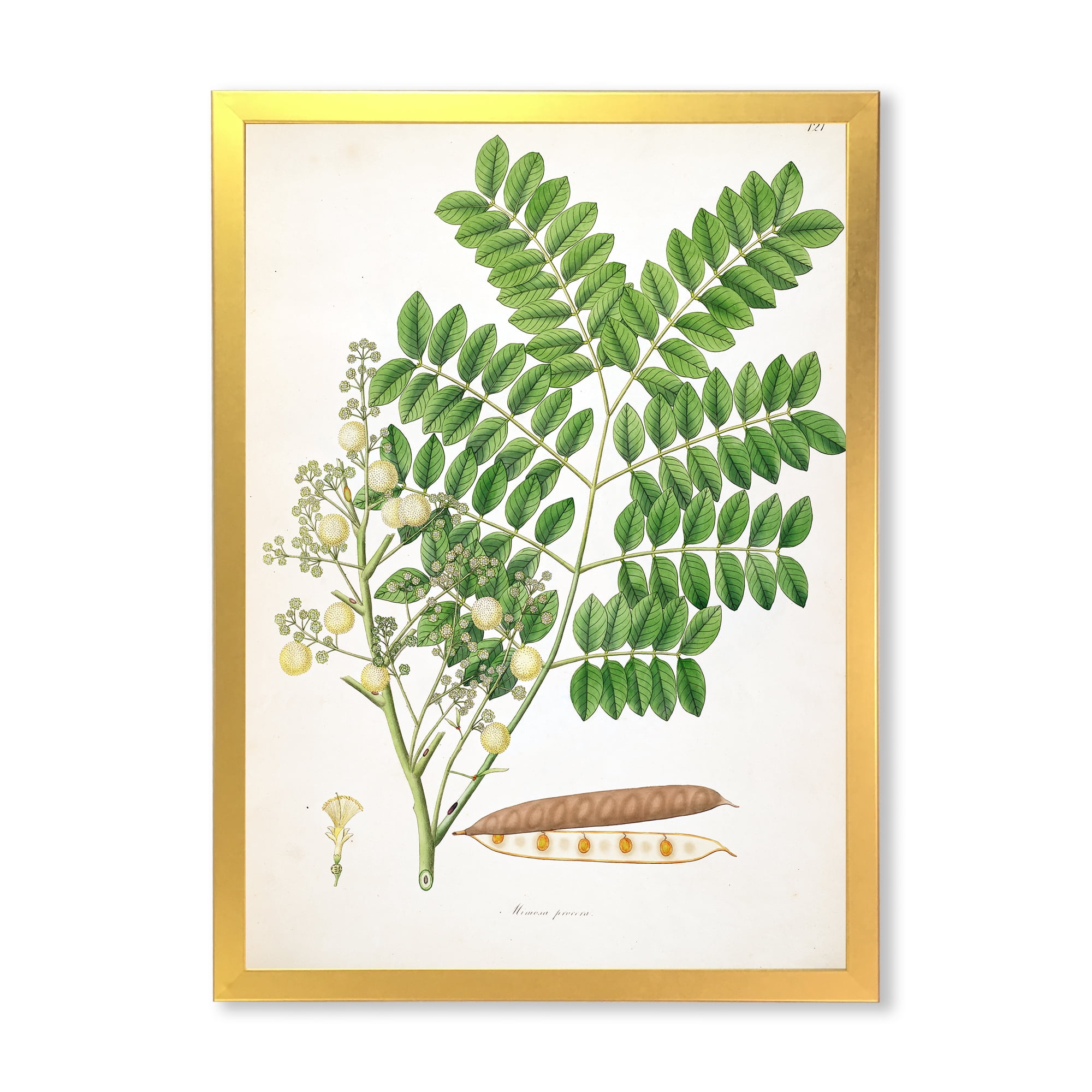 Designart 'Ancient Botanicals VII' Farmhouse Framed Art Print