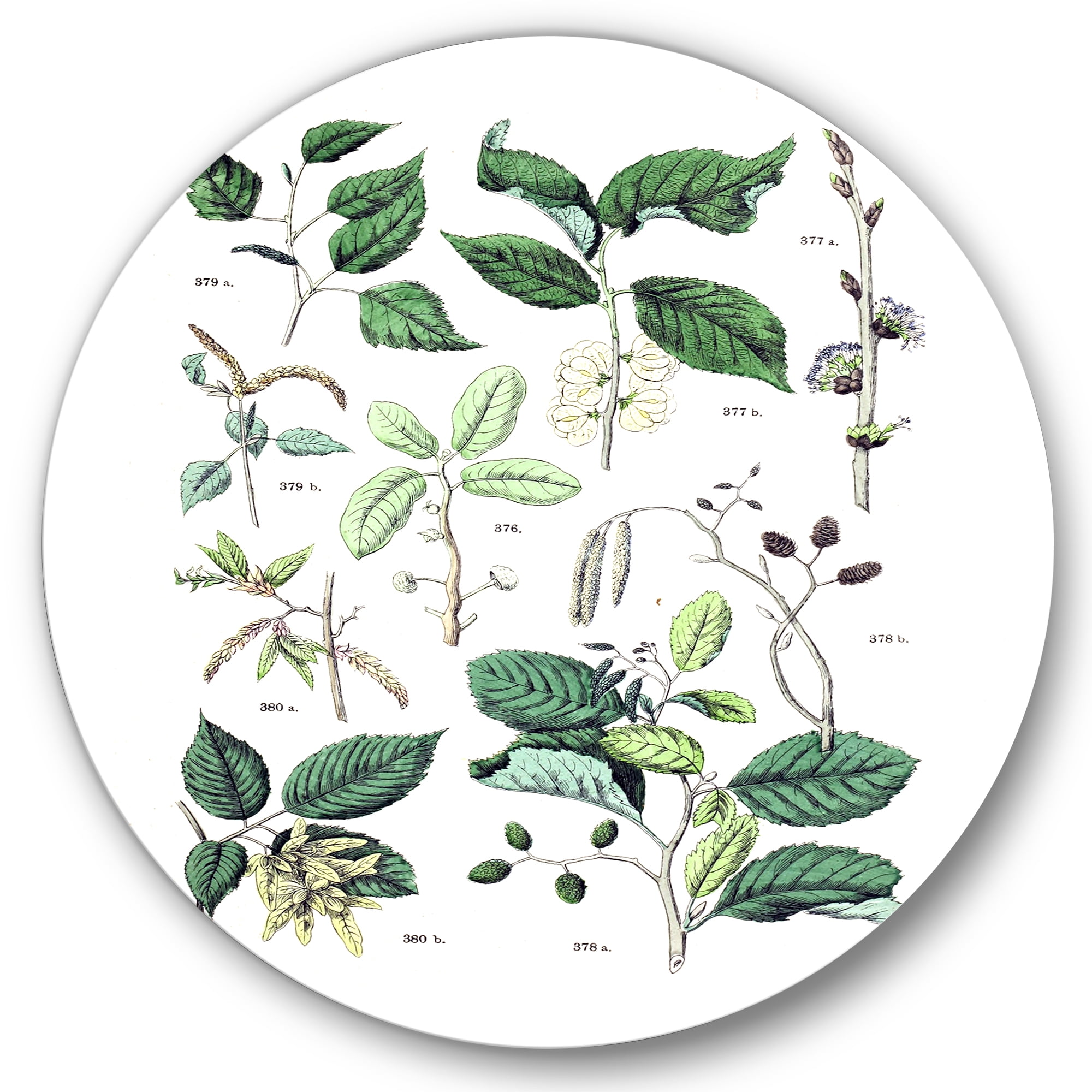 Designart 'Ancient Botanicals VIII' Traditional Circle Metal Wall Art 29x29 - Disc of 29
