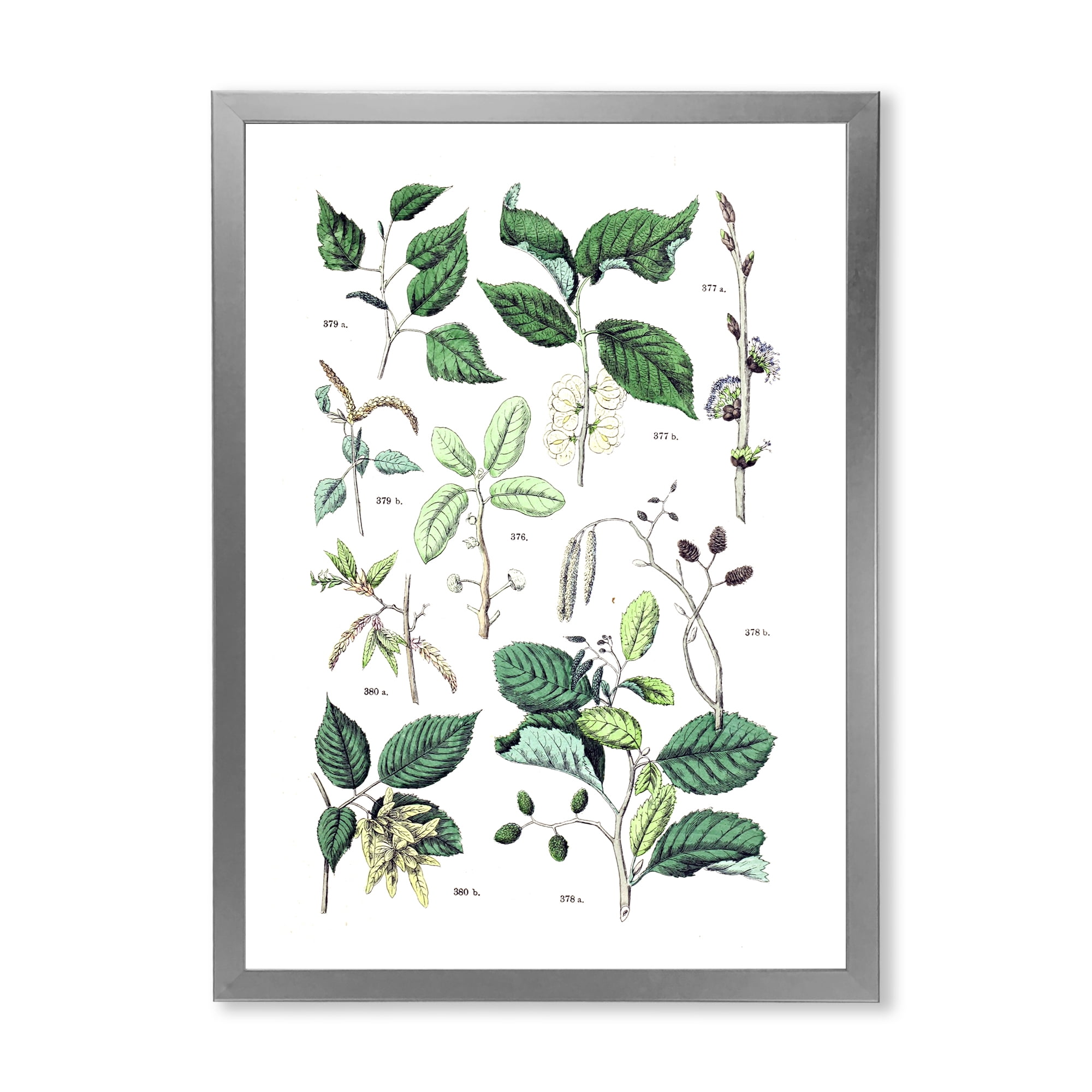 Designart 'Ancient Botanicals VIII' Traditional Framed Art Print
