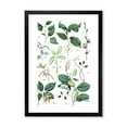 thumbnail image 1 of Designart 'Ancient Botanicals VIII' Traditional Framed Art Print, 1 of 4