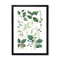 Designart 'Ancient Botanicals VIII' Traditional Framed Art Print
