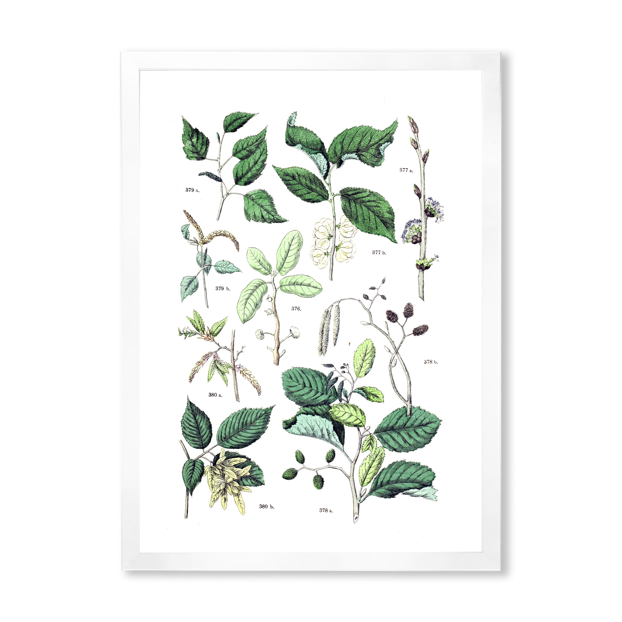 Designart 'Ancient Botanicals VIII' Traditional Framed Art Print