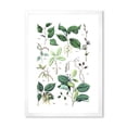 thumbnail image 1 of Designart 'Ancient Botanicals VIII' Traditional Framed Art Print, 1 of 4