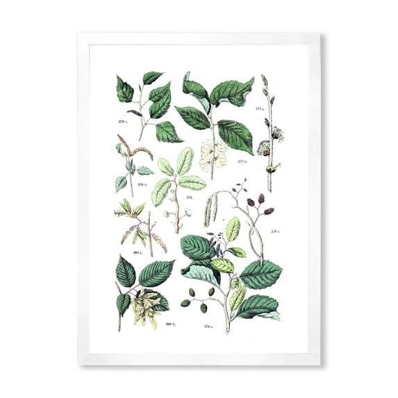 Designart 'Ancient Botanicals VIII' Traditional Framed Art Print