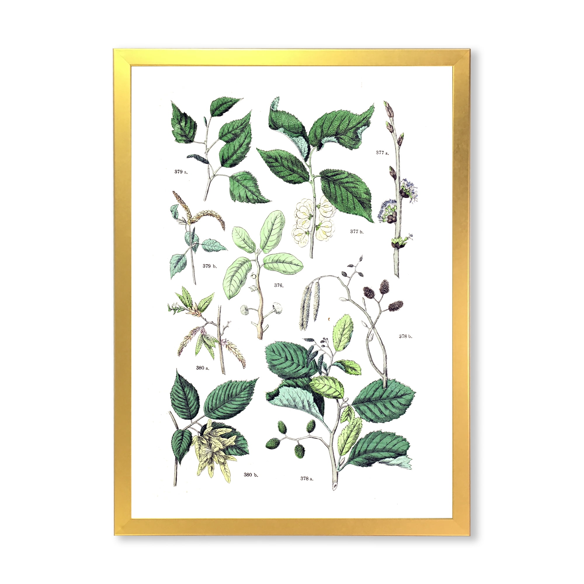Designart 'Ancient Botanicals VIII' Traditional Framed Art Print