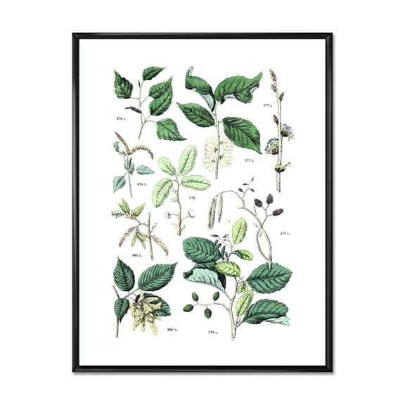 Designart 'Ancient Botanicals VIII' Traditional Framed Canvas Wall Art Print