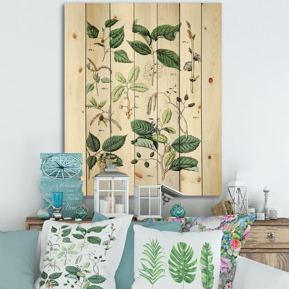 Designart 'Ancient Botanicals VIII' Traditional Print on Natural Pine Wood