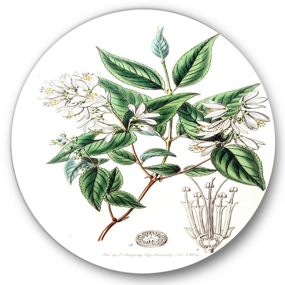 Designart 'Ancient Botanicals X' Traditional Circle Metal Wall Art 23x23 - Disc of 23