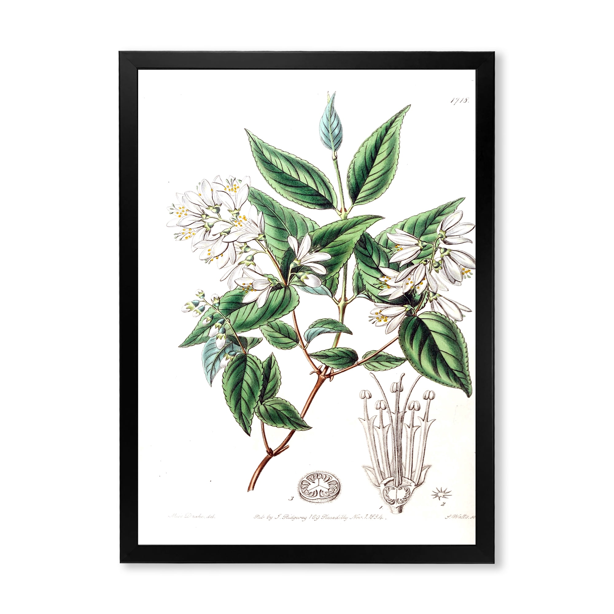Designart 'Ancient Botanicals X' Traditional Framed Art Print