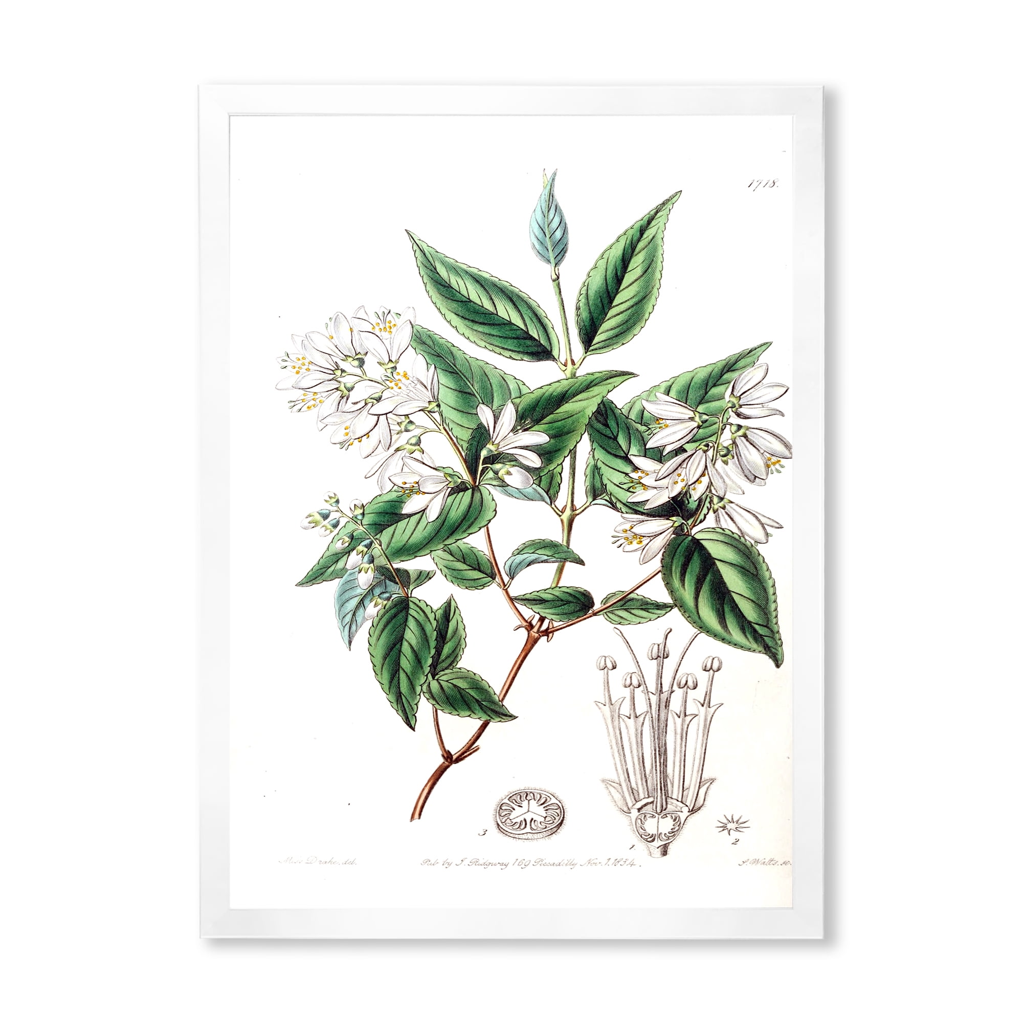 Designart 'Ancient Botanicals X' Traditional Framed Art Print