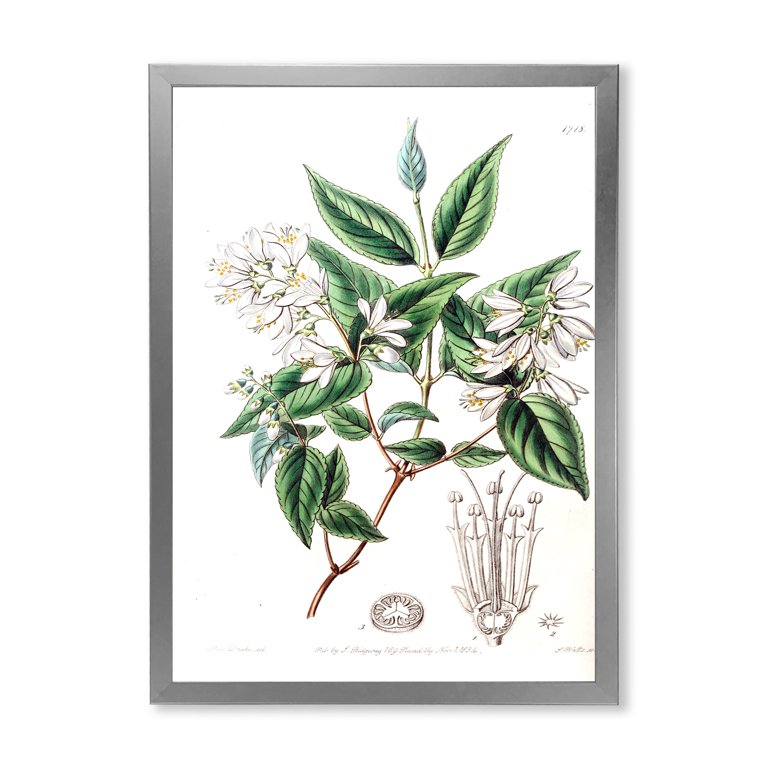 Designart 'Ancient Botanicals X' Traditional Framed Art Designart 'Ancient Botanicals X' Traditional Framed Art