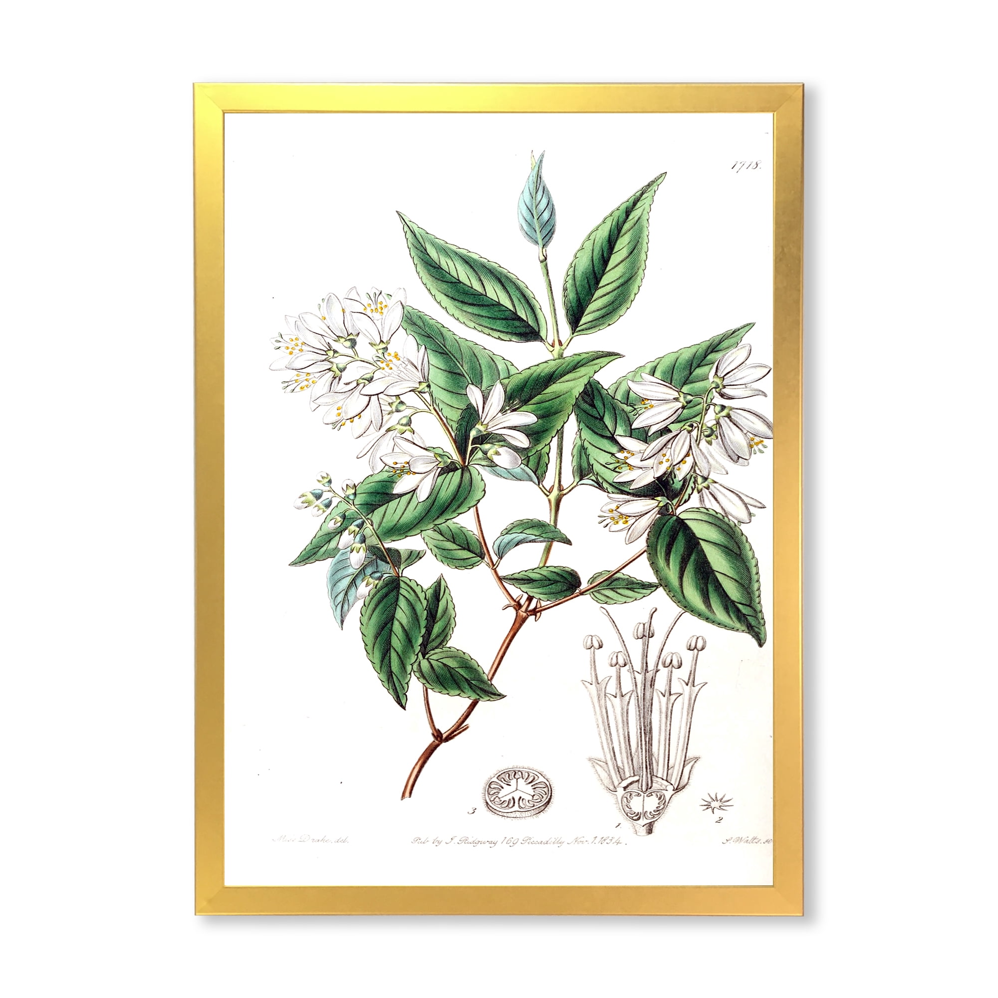 Designart 'Ancient Botanicals X' Traditional Framed Art Print