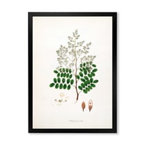Designart 'Ancient Botanicals XII' Farmhouse Framed Art Print
