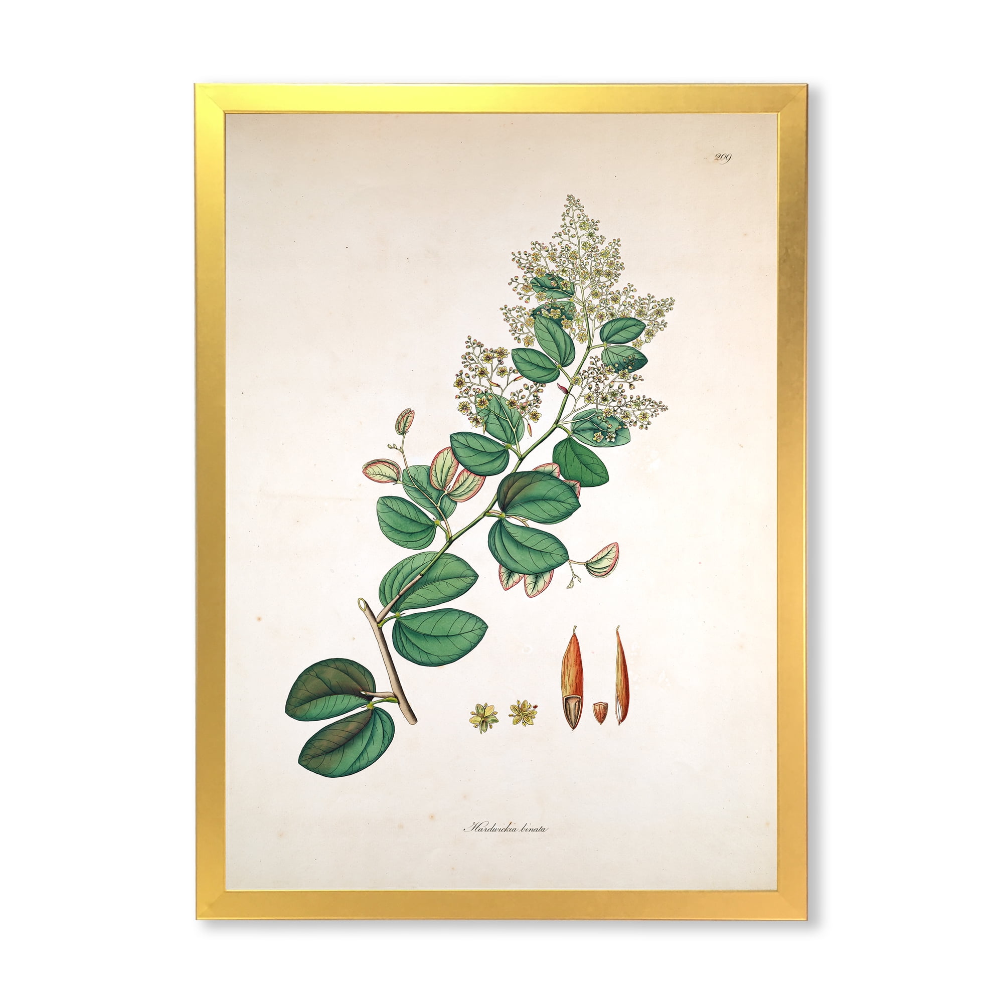 Designart 'Ancient Botanicals XIII' Farmhouse Framed Art Print