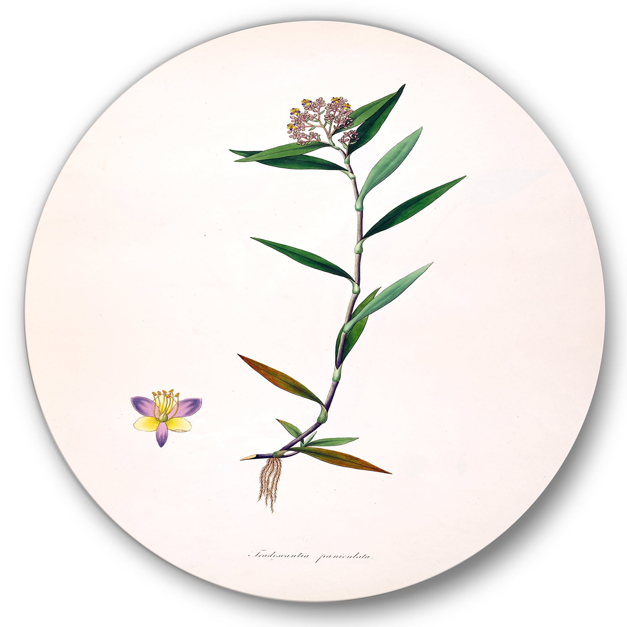 Designart 'Ancient Botanicals XIX' Farmhouse Circle Metal Wall Art 11x11 - Disc of 11