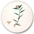 thumbnail image 1 of Designart 'Ancient Botanicals XIX' Farmhouse Circle Metal Wall Art 11x11 - Disc of 11, 1 of 5