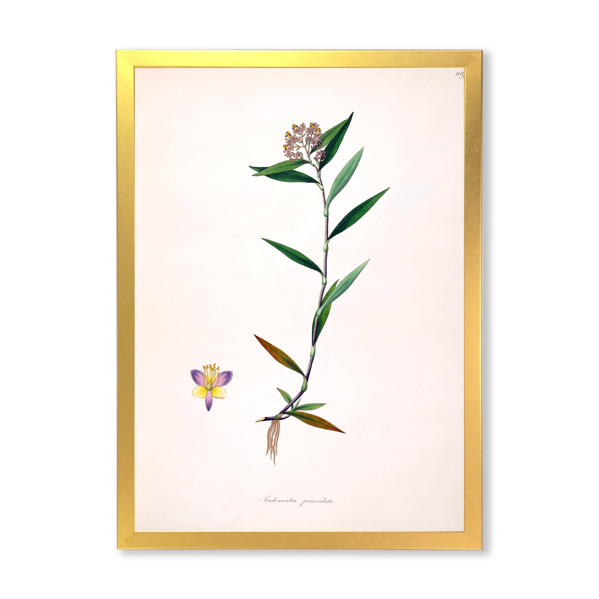 Designart 'Ancient Botanicals XIX' Farmhouse Framed Art Print