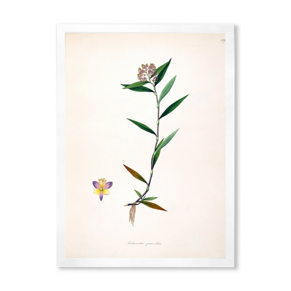 Designart 'Ancient Botanicals XIX' Farmhouse Framed Art Print