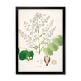 thumbnail image 1 of Designart 'Ancient Botanicals XVI' Farmhouse Framed Art Print, 1 of 4