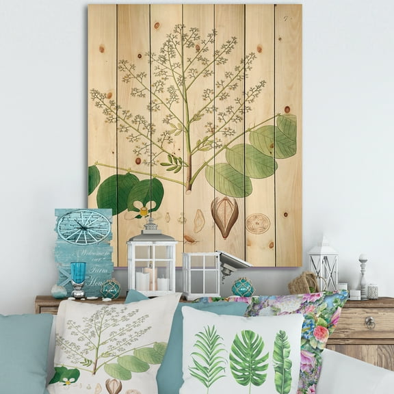 Designart 'Ancient Botanicals XVI' Farmhouse Print on Natural Pine Wood