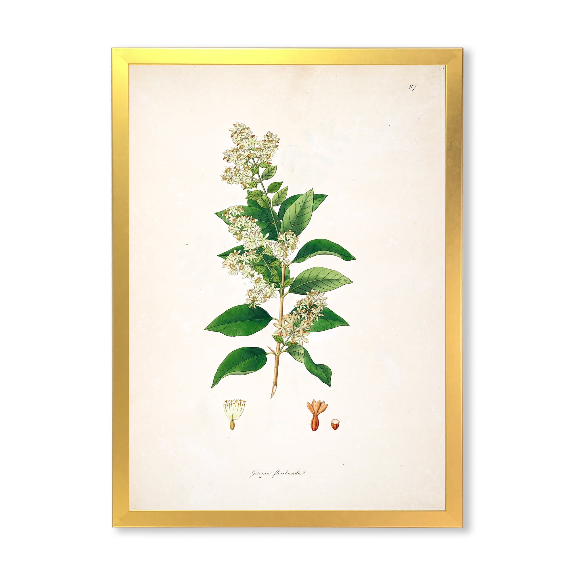 Designart 'Ancient Botanicals XVII' Farmhouse Framed Art Print