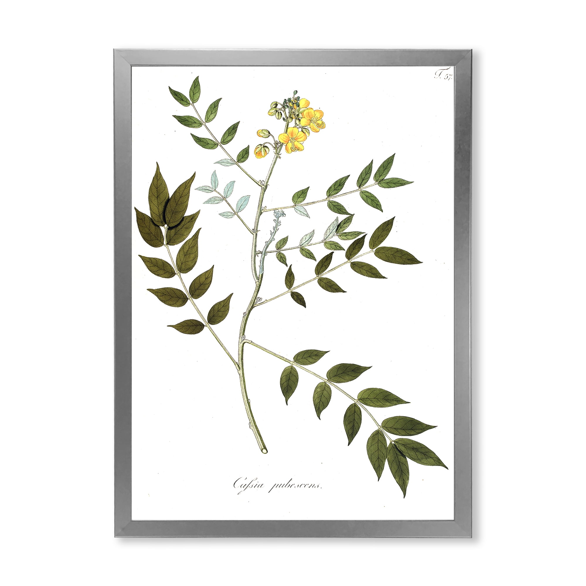Designart 'Ancient Botanicals XVIII' Traditional Framed Art Print