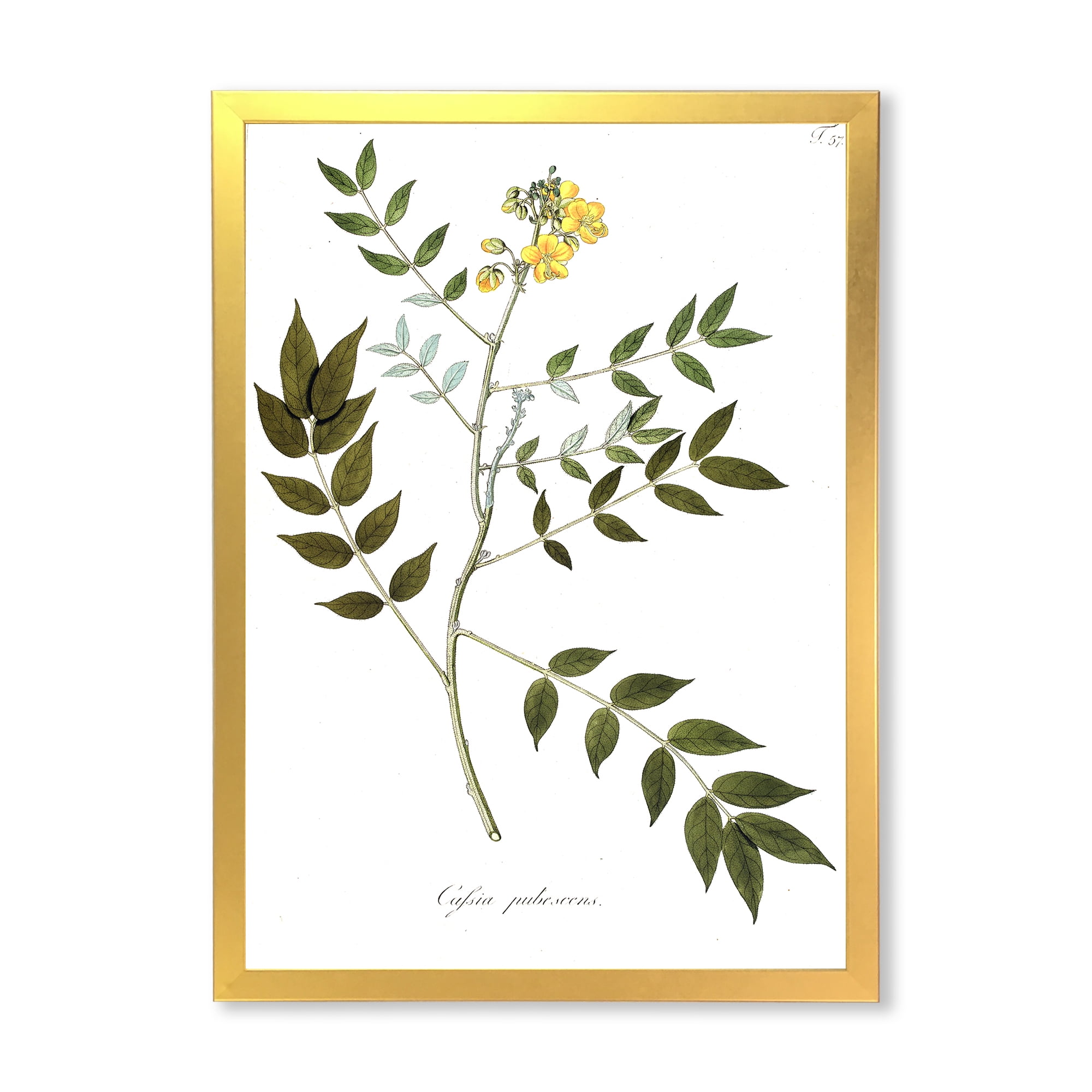 Designart 'Ancient Botanicals XVIII' Traditional Framed Art Print