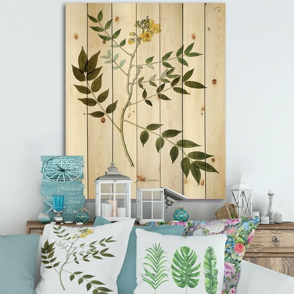 Designart 'Ancient Botanicals XVIII' Traditional Print on Natural Pine Wood