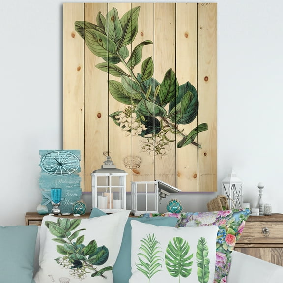 Designart 'Ancient Botanicals XX' Traditional Print on Natural Pine Wood