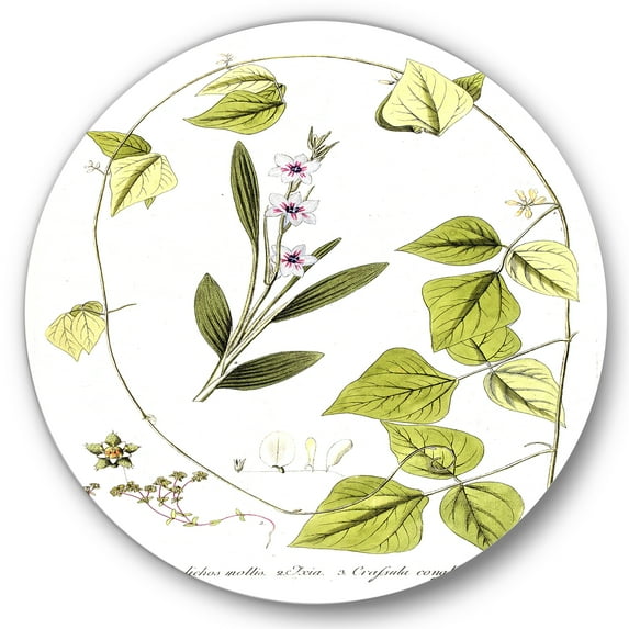 Designart 'Ancient Botanicals XXI' Traditional Circle Metal Wall Art 29x29 - Disc of 29