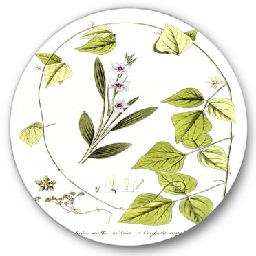 Designart 'Ancient Botanicals XXI' Traditional Circle Metal Wall Art 36x36 - Disc of 36