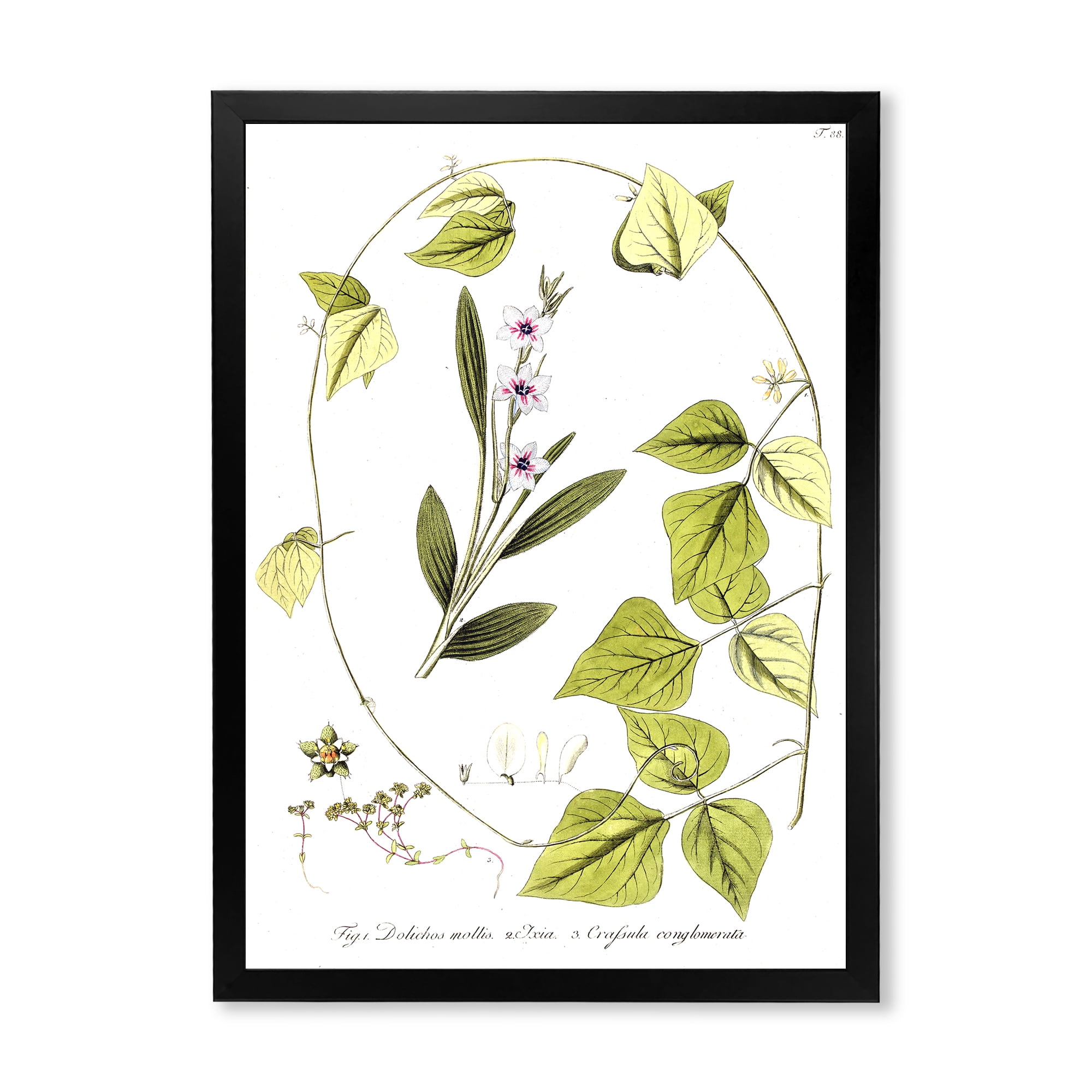 Designart 'Ancient Botanicals XXI' Traditional Framed Art Print