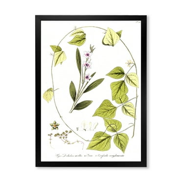 Designart 'Ancient Botanicals XXI' Traditional Framed Art Print